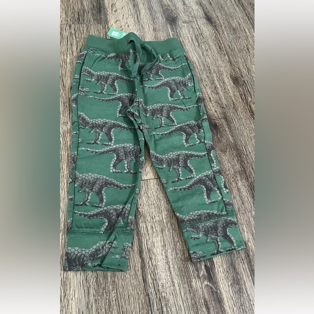 GAP Toddler Green Long Sleeve Shirt and Pants Outfit Green Dino Pattern, Size 2T - Picture 5 of 10